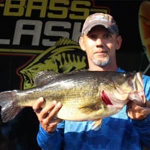 Meet your Posher, Albert